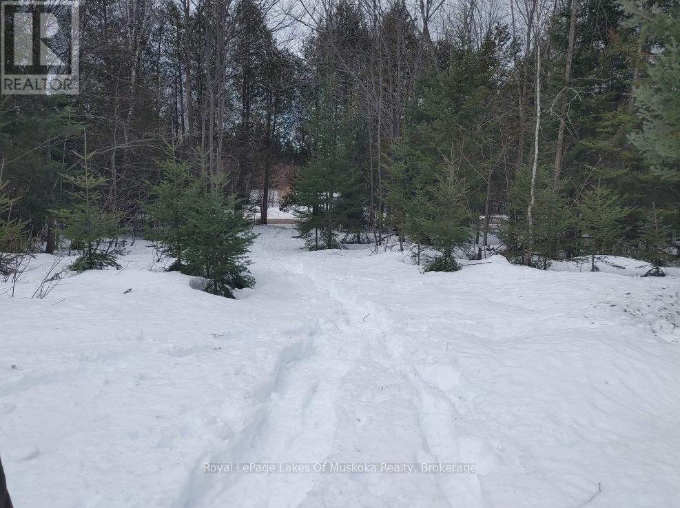 24 Settlers Road, Nipissing, Ontario  P0H 1W0 - Photo 16 - X12559610