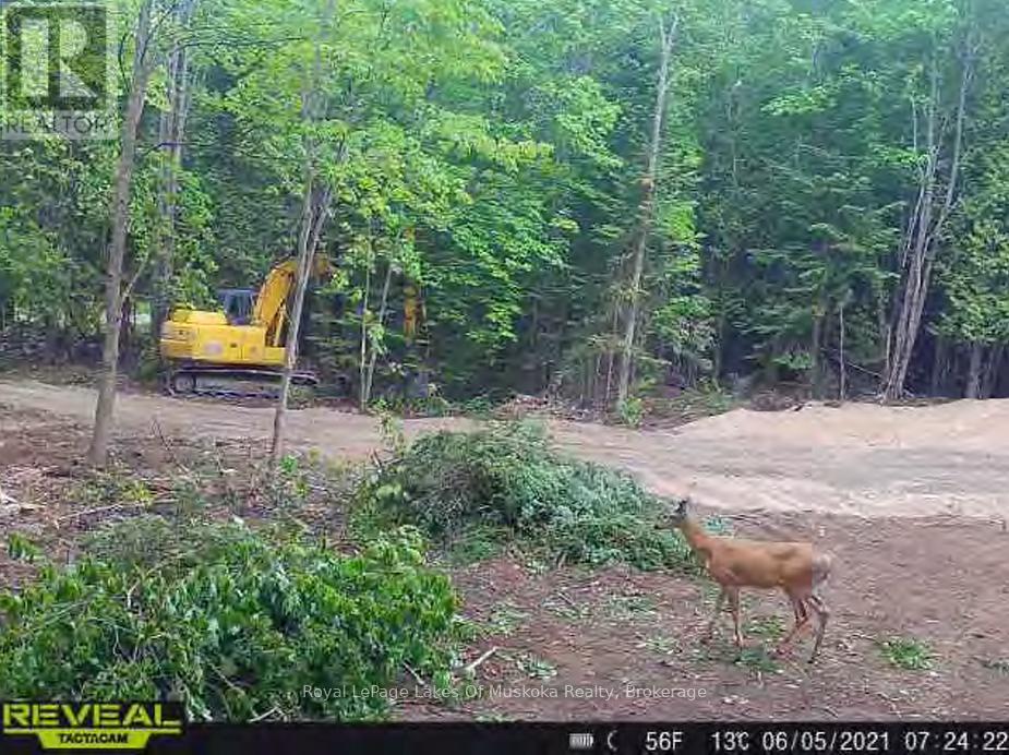 24 Settlers Road, Nipissing, Ontario  P0H 1W0 - Photo 9 - X12559610