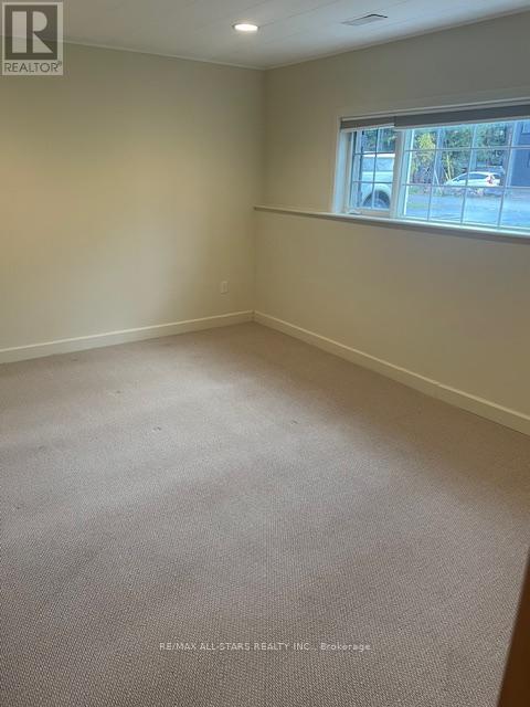 Basement - 2036 Lilac Drive, Innisfil, Ontario  L0L 2M0 - Photo 10 - N12559550