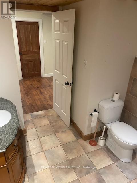 Basement - 2036 Lilac Drive, Innisfil, Ontario  L0L 2M0 - Photo 5 - N12559550