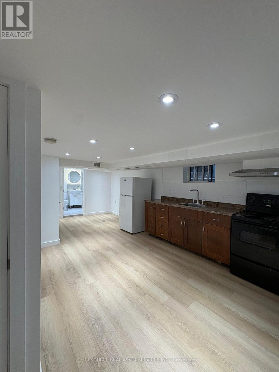 Bsmt - 858 Manning Avenue, Toronto, Ontario  M6G 2W8 - Photo 3 - C12549028