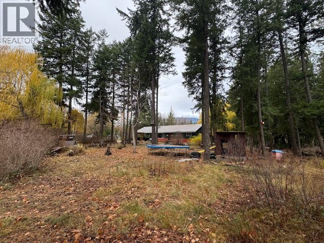 1059 Tappen Valley Road, Tappen, British Columbia  V0E 2X3 - Photo 3 - 10369641