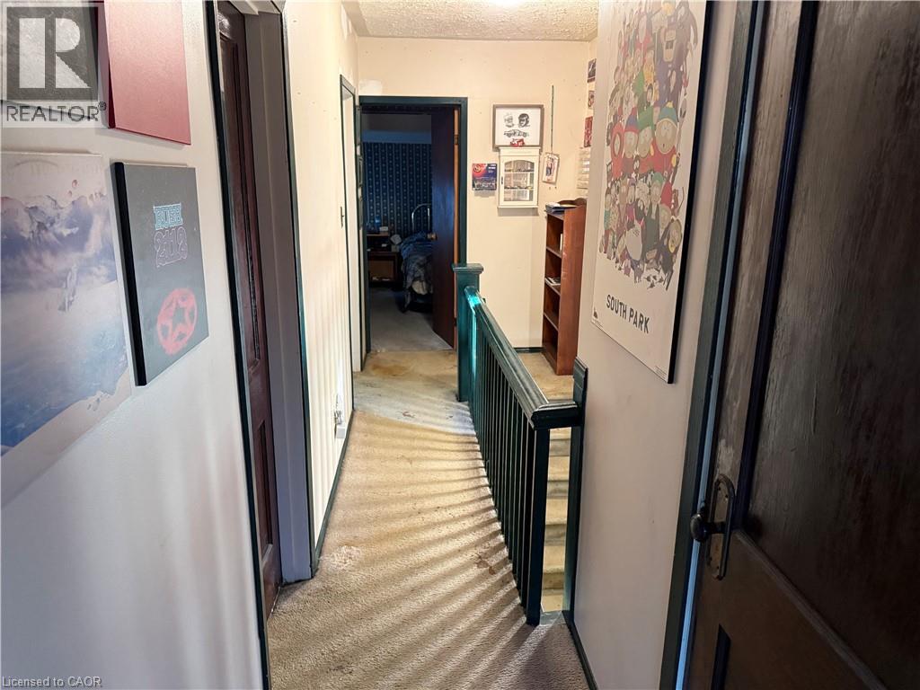 205 Locke Street N, Hamilton, Ontario L8R 3B1 - Photo 17 - 40788718