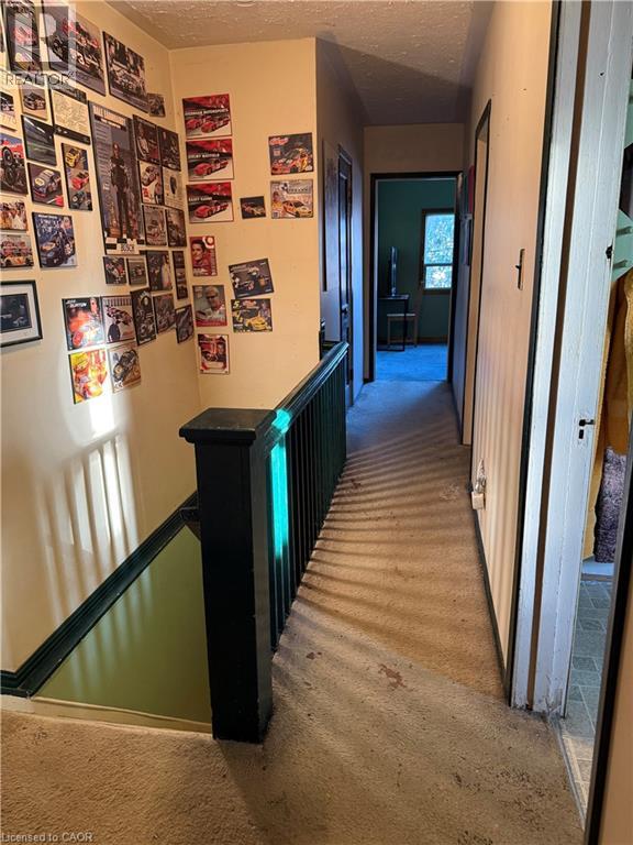 205 Locke Street N, Hamilton, Ontario L8R 3B1 - Photo 14 - 40788718