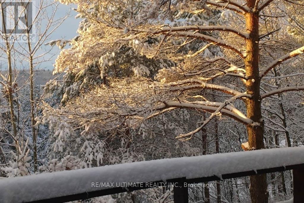 65 Sumac Lane, Scugog, Ontario  L9L 2C3 - Photo 43 - E12558168