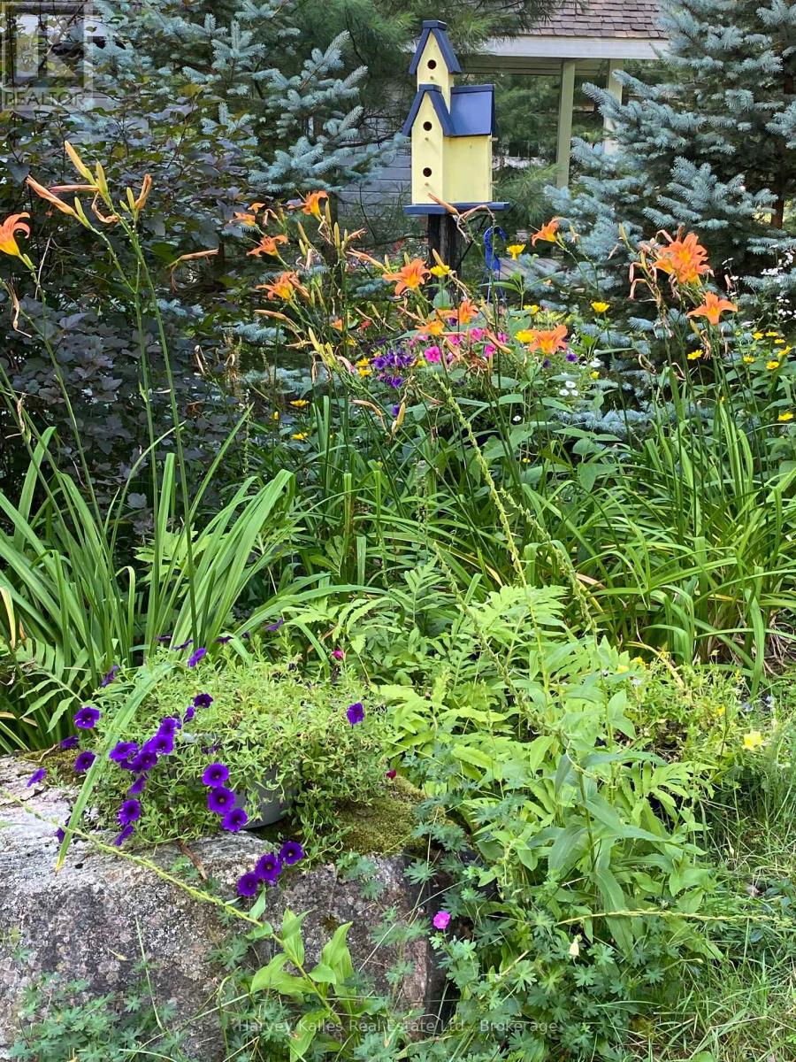 1020 Ennis Bay Road S, Bracebridge, Ontario  P1P 1R1 - Photo 27 - X12560002