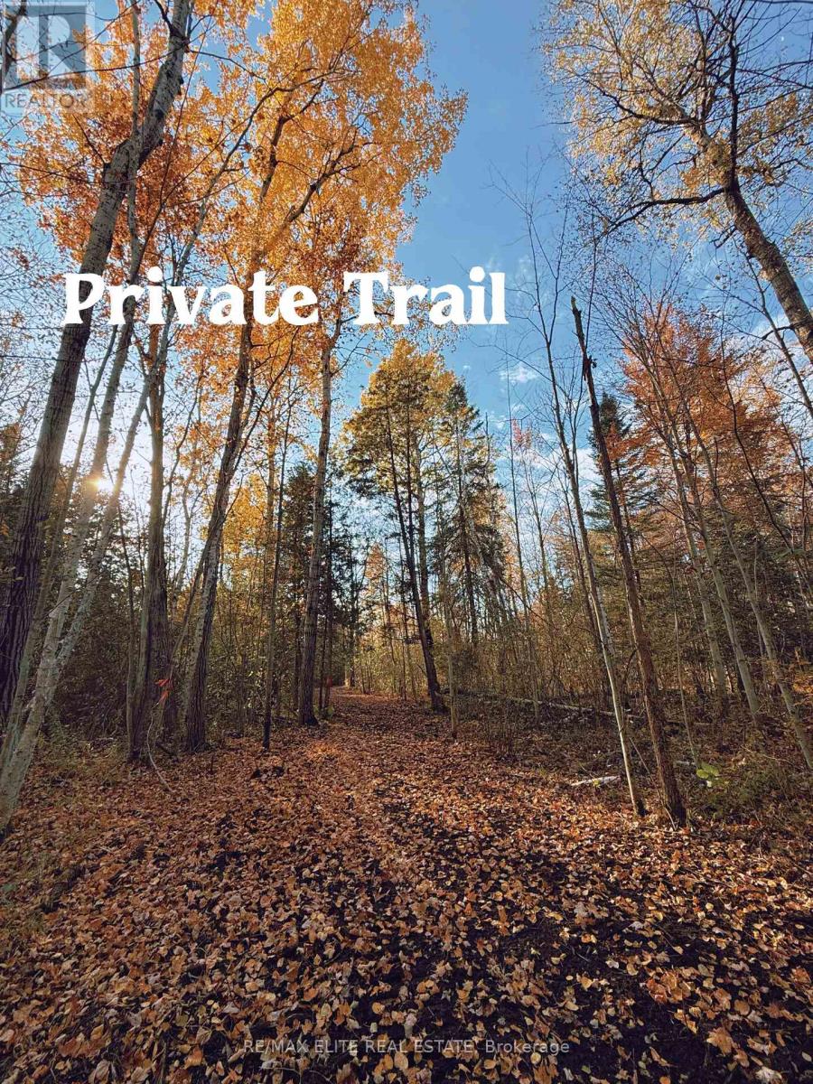 4909 Holborn Road, East Gwillimbury, Ontario  L0G 1M0 - Photo 4 - N12559752