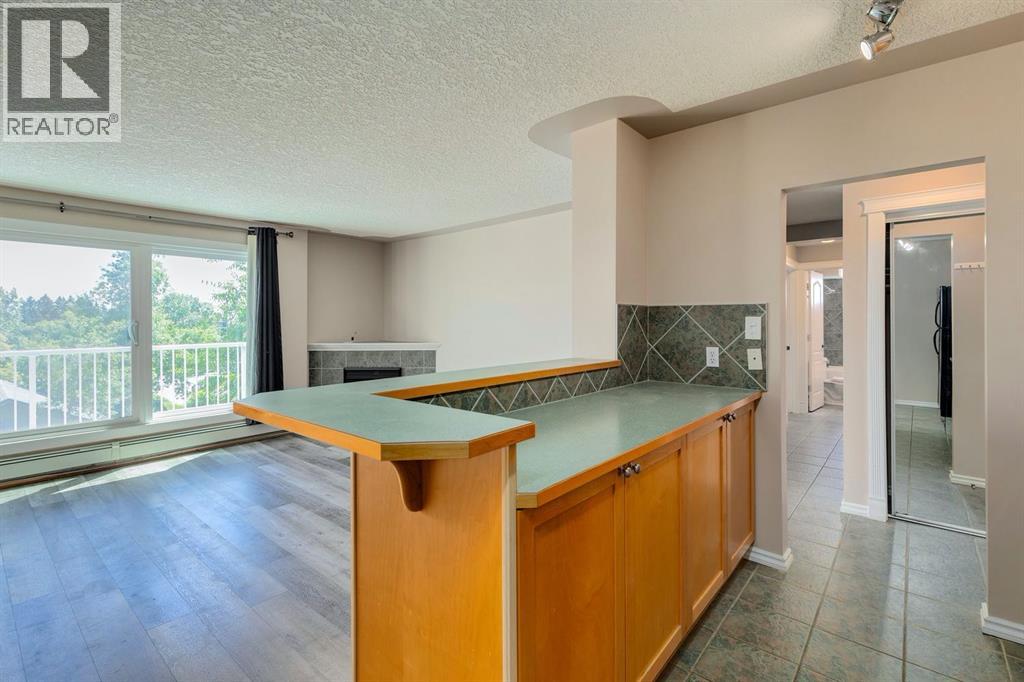 401, 2515 14a Street Sw, Calgary, Alberta  T2T 3X6 - Photo 4 - A2236303