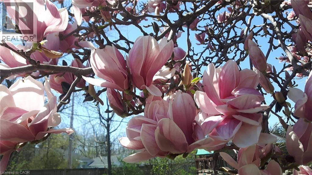 211 Merritt Street, Welland, Ontario  L3C 4T8 - Photo 47 - 40789364