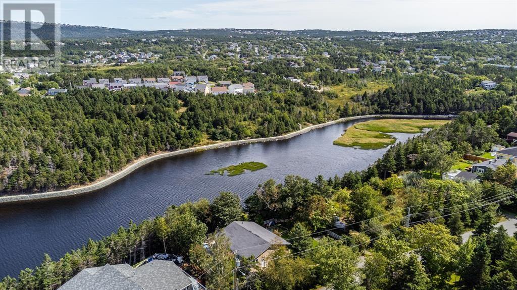 36 Flats Road, Conception Bay South, Newfoundland & Labrador  A1W 3C3 - Photo 43 - 1292749