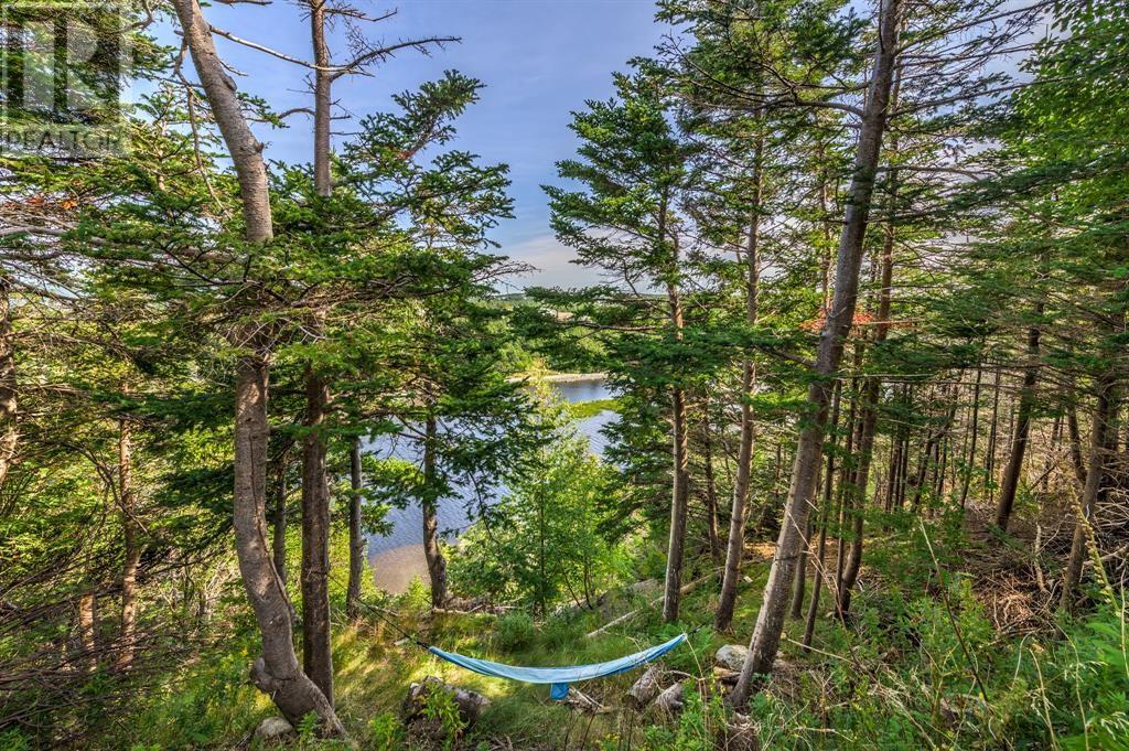 36 Flats Road, Conception Bay South, Newfoundland & Labrador  A1W 3C3 - Photo 44 - 1292749