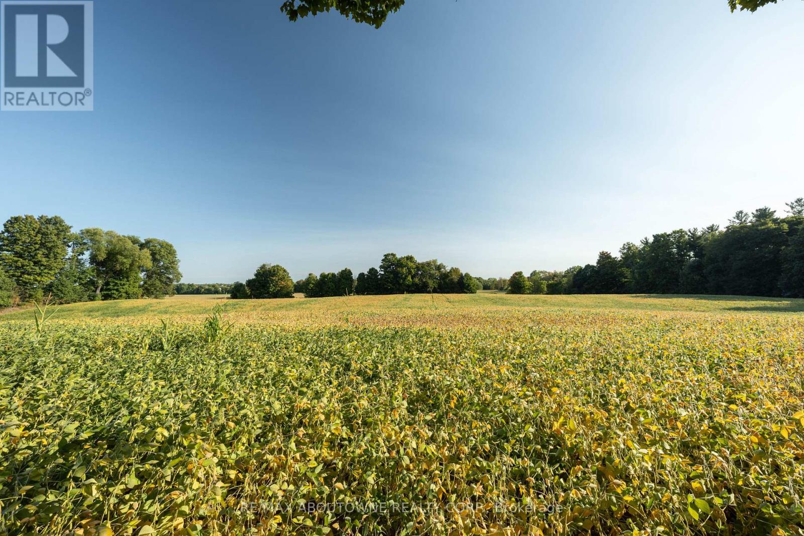 3276 Governors Road, Hamilton, Ontario  L0R 1T0 - Photo 48 - X12560012