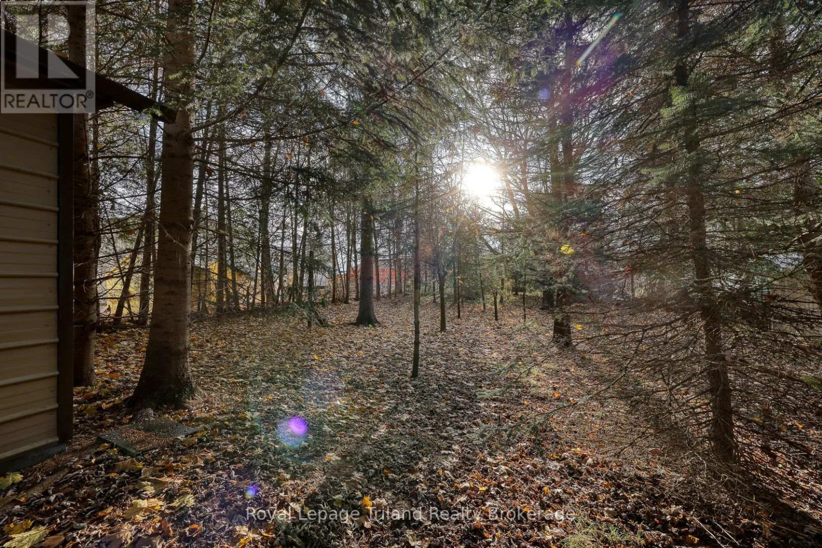 146 Whiting Street, Ingersoll, Ontario  N5C 3B3 - Photo 17 - X12560470