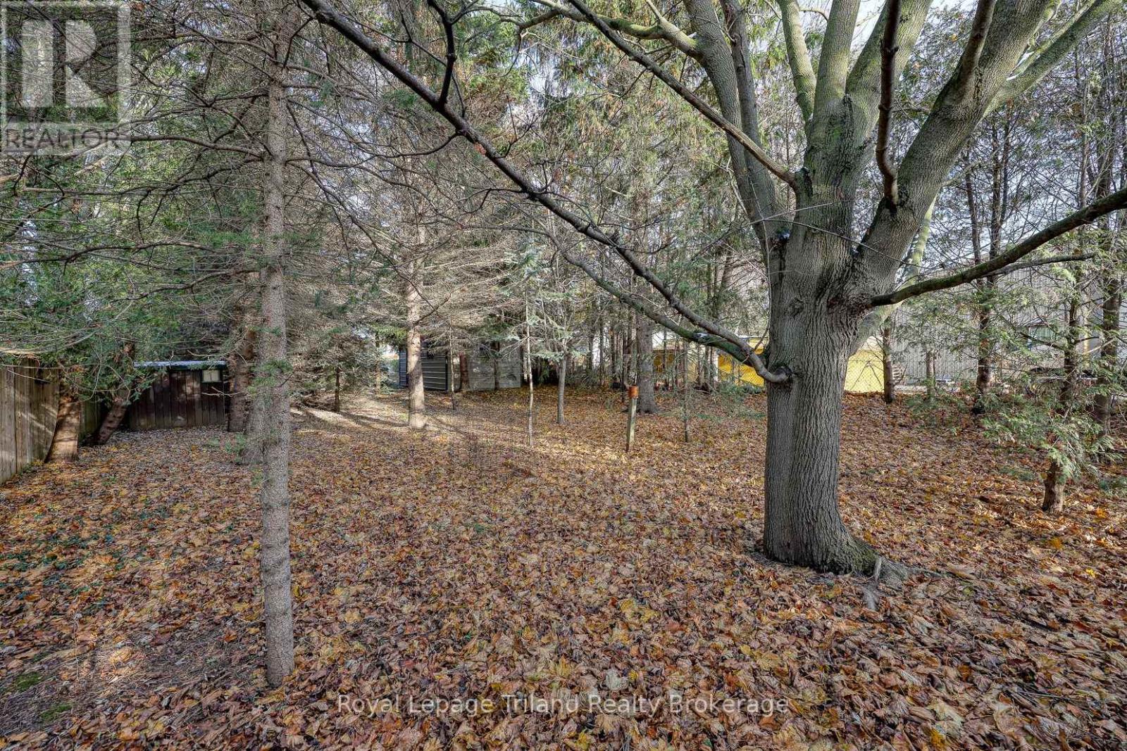 146 Whiting Street, Ingersoll, Ontario  N5C 3B3 - Photo 19 - X12560470