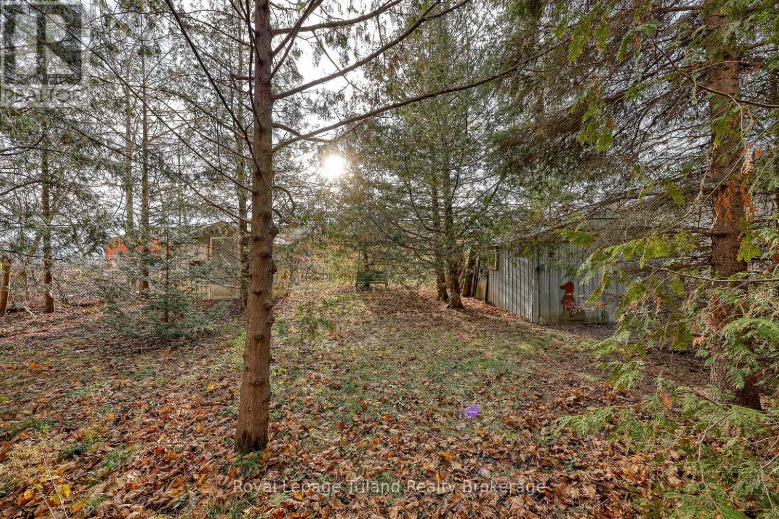 146 Whiting Street, Ingersoll, Ontario  N5C 3B3 - Photo 20 - X12560470