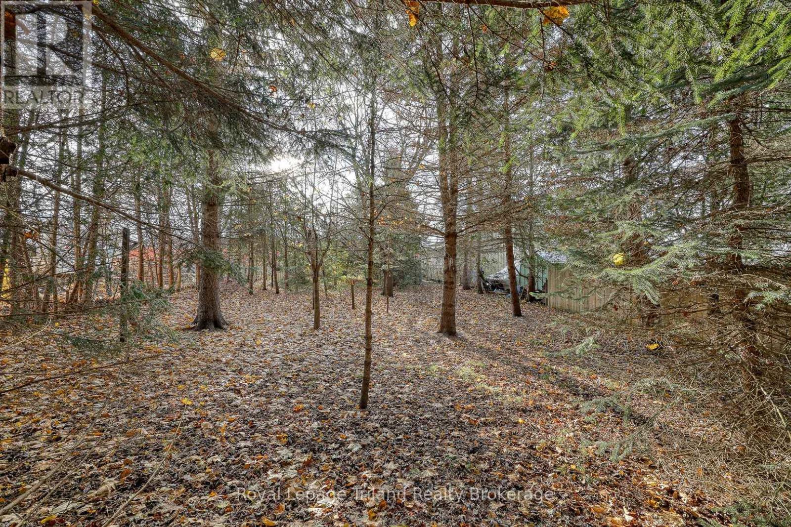 146 Whiting Street, Ingersoll, Ontario  N5C 3B3 - Photo 18 - X12560472