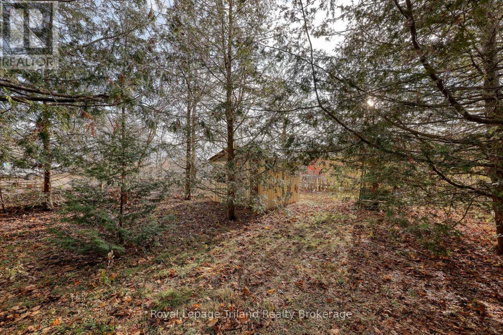 146 Whiting Street, Ingersoll, Ontario  N5C 3B3 - Photo 21 - X12560472