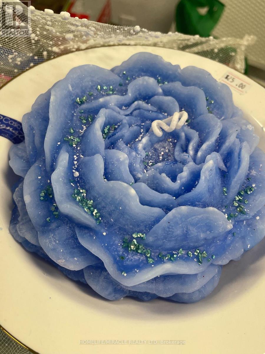 174 Main Street, Cambridge, Ontario  N1R 1W6 - Photo 12 - X12560246