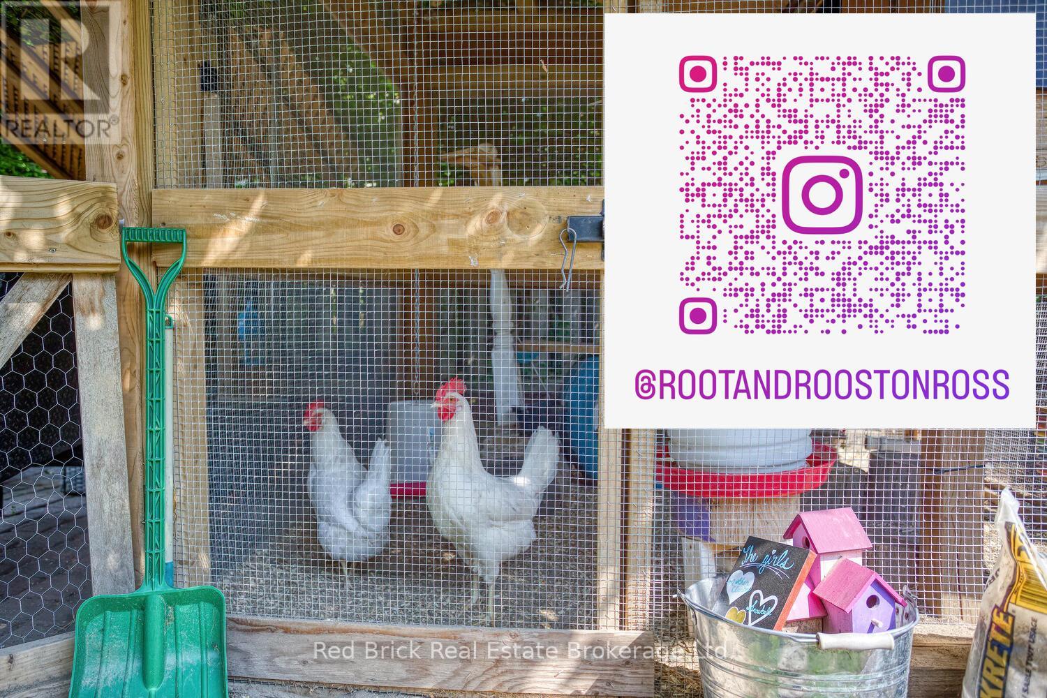 302 Ross Avenue, Kitchener, Ontario  N2A 1V6 - Photo 40 - X12560280