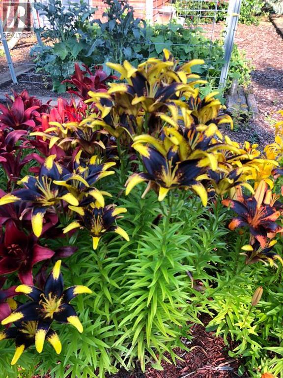 241023 Hwy 2, Rural Peace No. 135, Alberta  T0H 1W0 - Photo 46 - A2271421