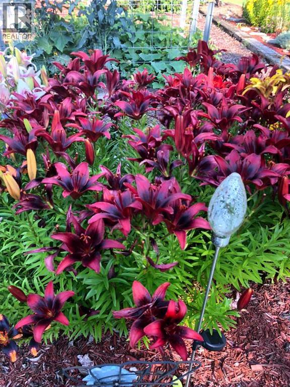 241023 Hwy 2, Rural Peace No. 135, Alberta  T0H 1W0 - Photo 49 - A2271421