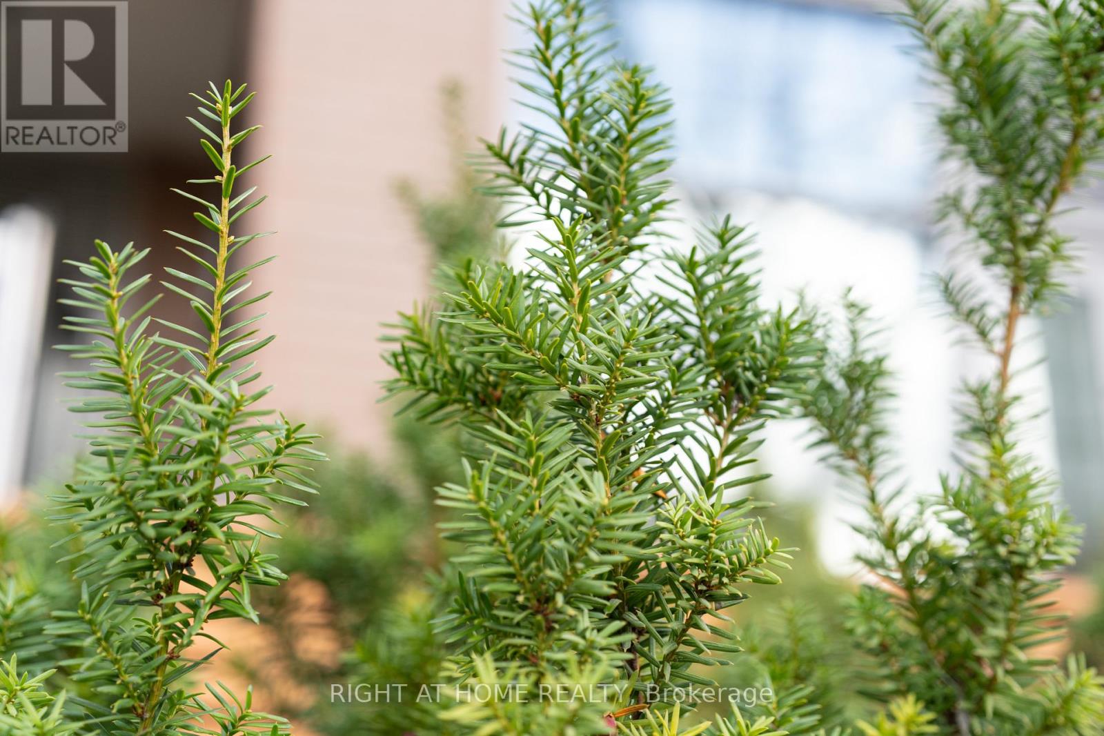 107 - 707 Dovercourt Road, Toronto, Ontario  M6H 0B5 - Photo 14 - C12560540