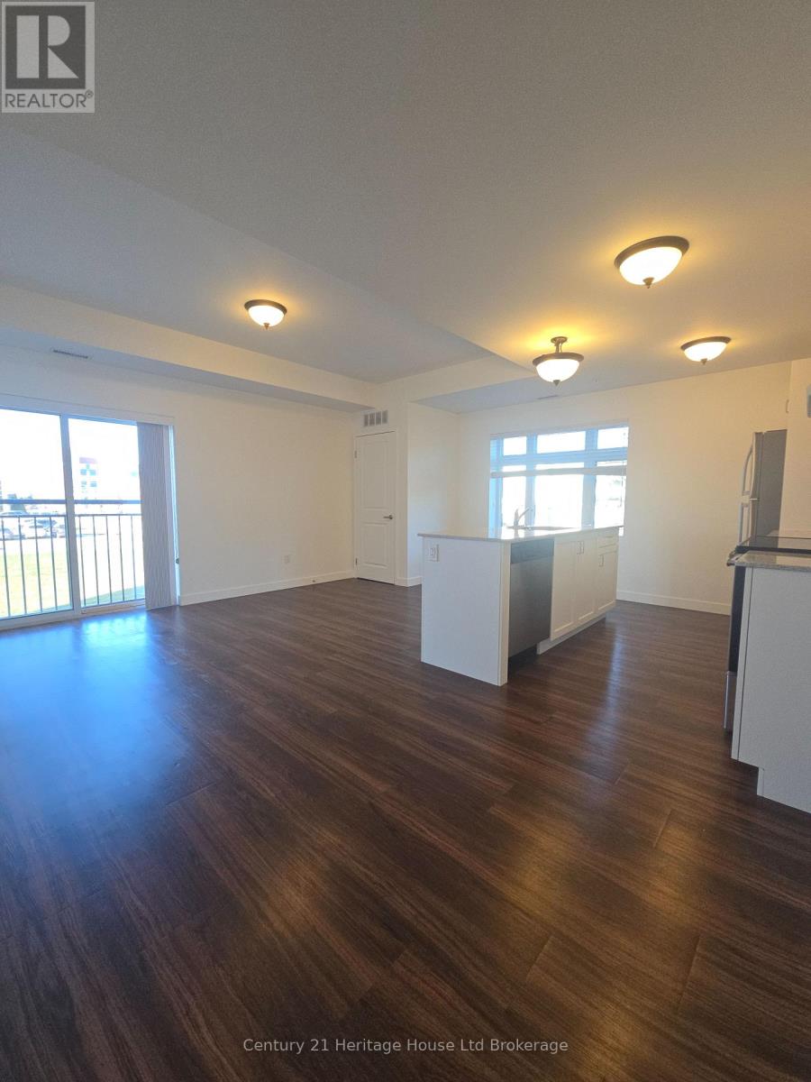 205 - 71 Metcalf Street, Woodstock, Ontario  N4S 3E9 - Photo 11 - X12560584