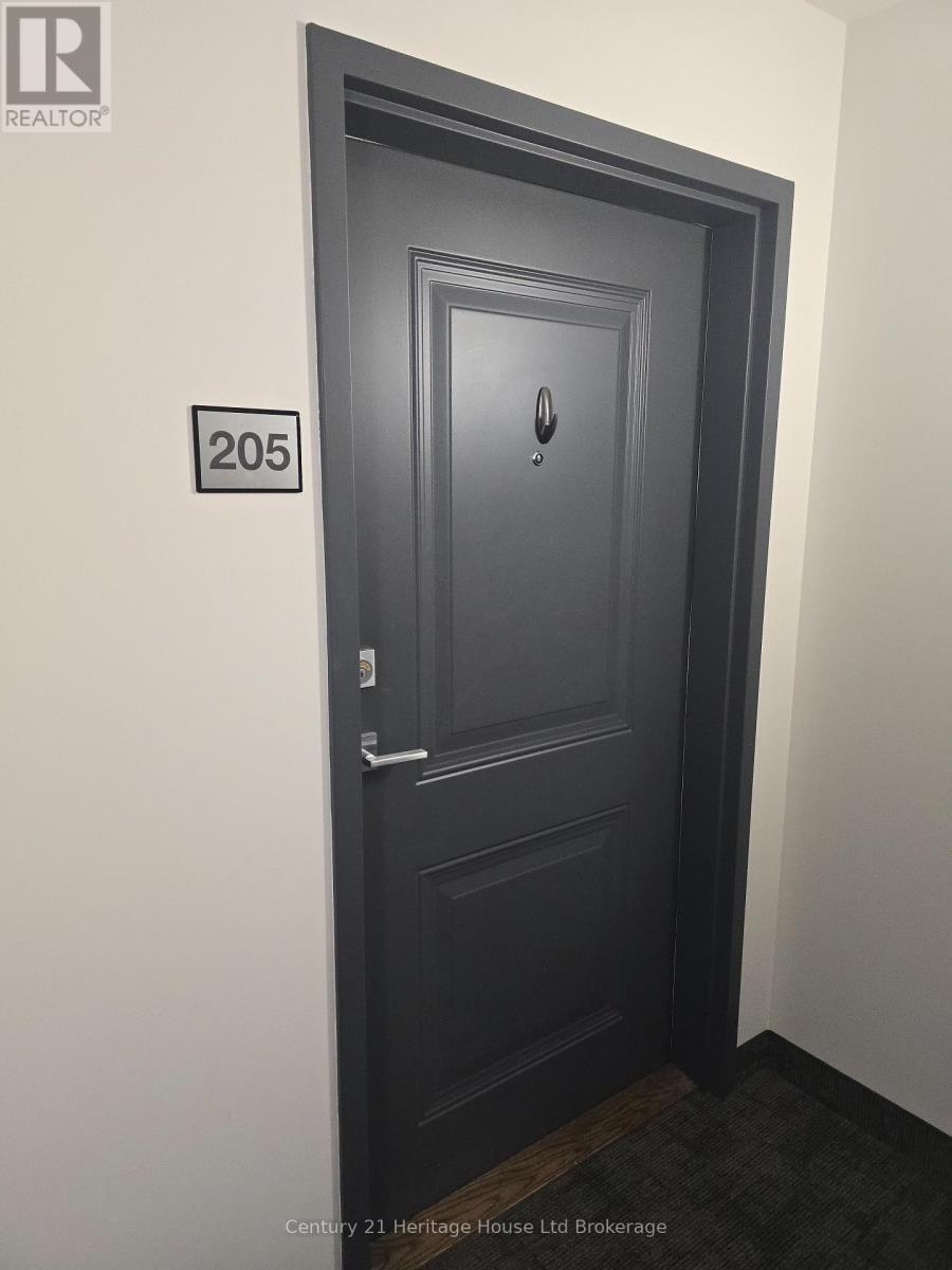 205 - 71 Metcalf Street, Woodstock, Ontario  N4S 3E9 - Photo 8 - X12560584