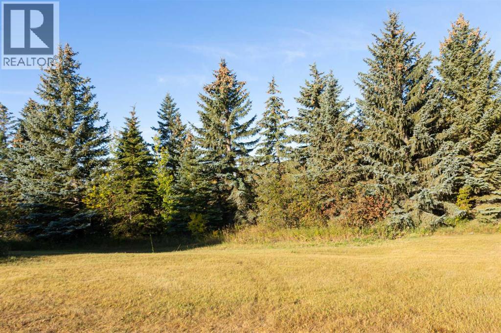 32384 Hwy 16, Rural, Saskatchewan  S0M 3A0 - Photo 32 - A2259400