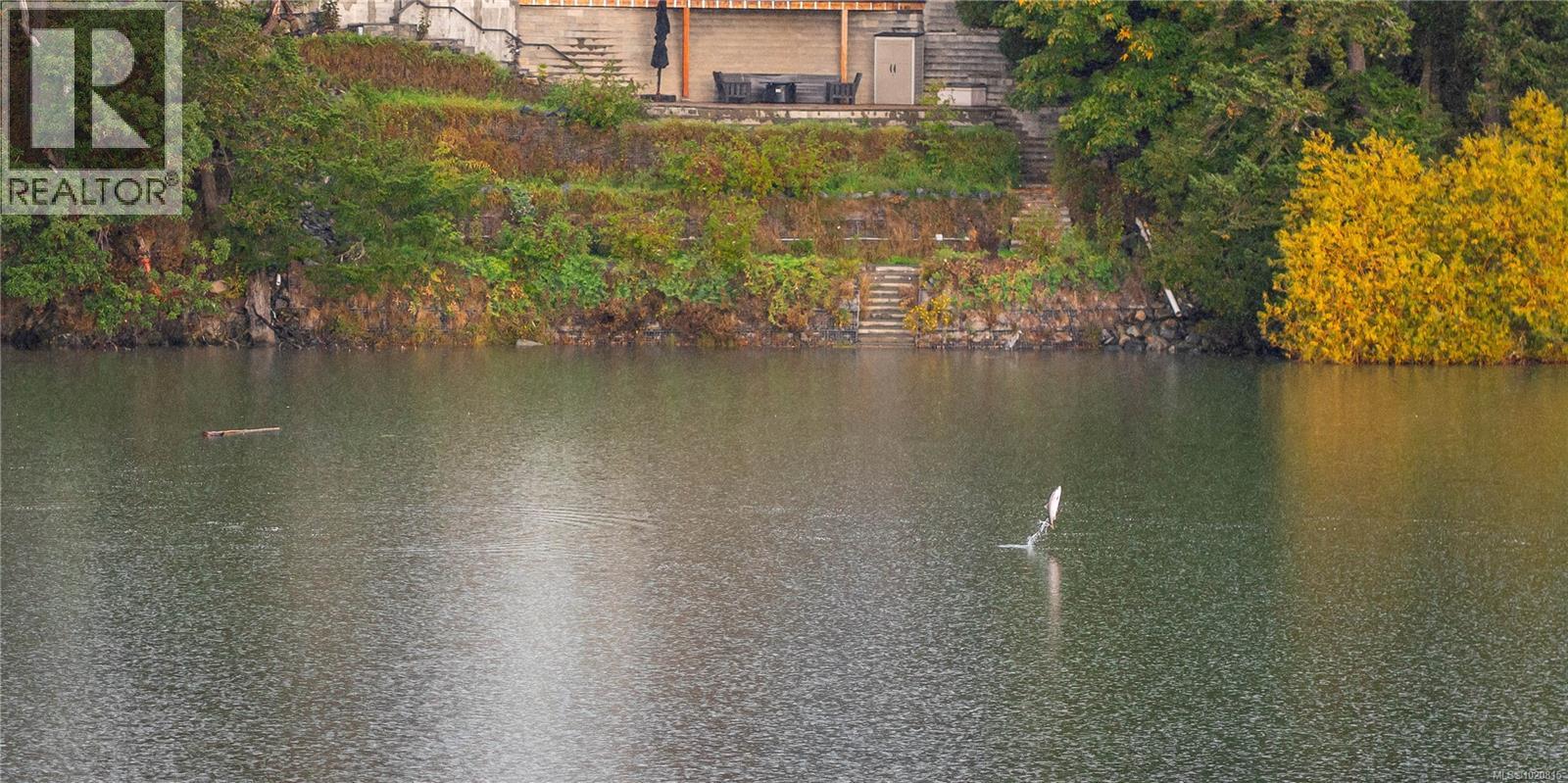 304 1 Buddy Rd, View Royal, British Columbia  V9B 1V6 - Photo 5 - 1020815