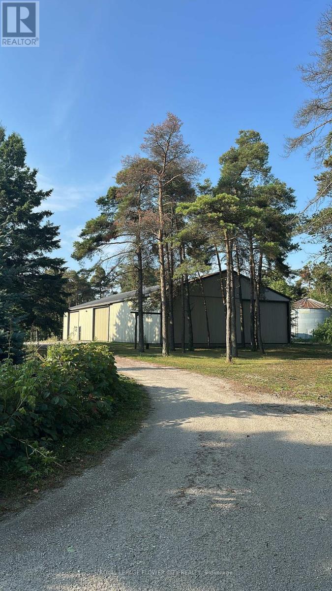 Shed 1 - 7076 5th Side Road N, Innisfil, Ontario  L9S 3S5 - Photo 2 - N12560686