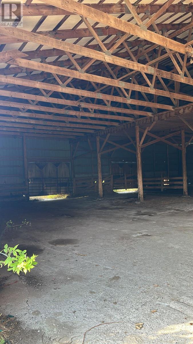 Shed 2 - 7076 5th Side Road N, Innisfil, Ontario  L9S 3S5 - Photo 7 - N12560700