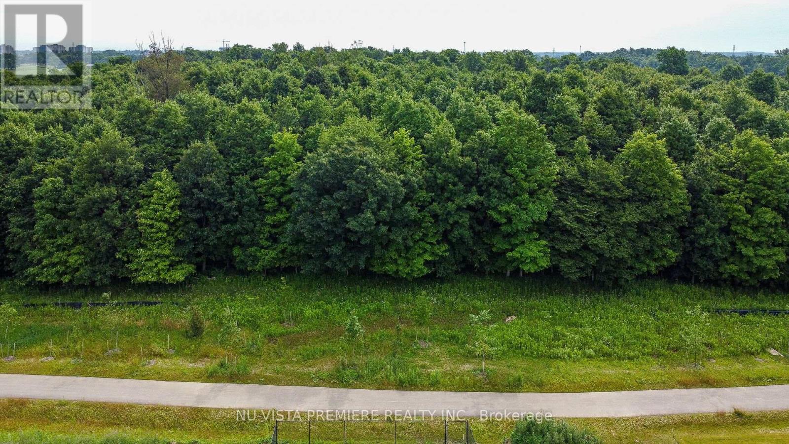 3998 Big Leaf Trail, London South, Ontario  N6P 0K1 - Photo 50 - X12560764