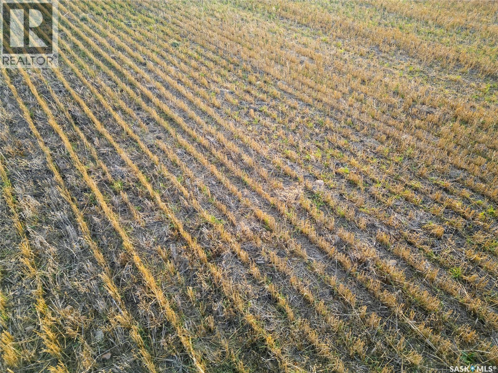 2,326 Acres - Estevan/macoun, Benson Rm No. 35, Saskatchewan  S0C 1P0 - Photo 30 - SK024267