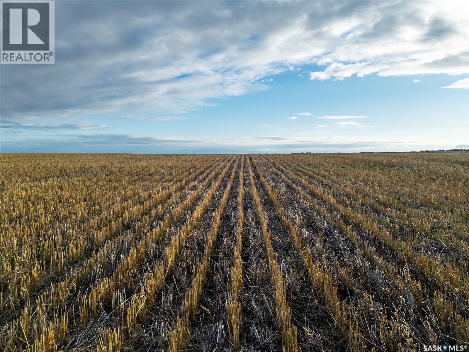 2,326 Acres - Estevan/macoun, Benson Rm No. 35, Saskatchewan  S0C 1P0 - Photo 31 - SK024267