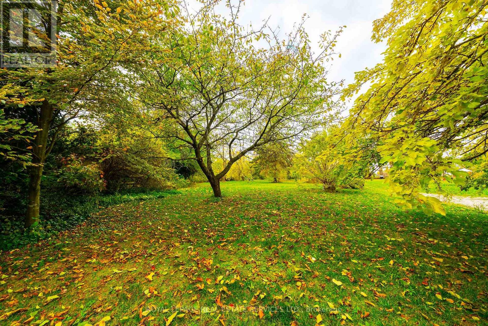 415 Niagara Boulevard, Fort Erie, Ontario  L2A 3H2 - Photo 43 - X12560902