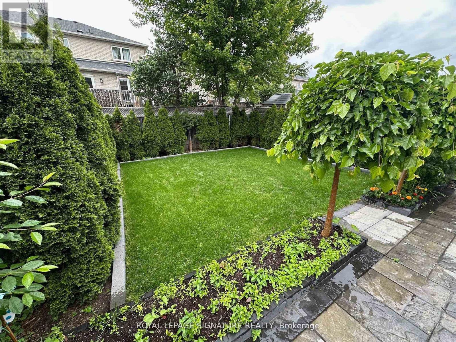 Basement - 70 Silverdart Crescent, Richmond Hill, Ontario  L4E 3T8 - Photo 10 - N12560966