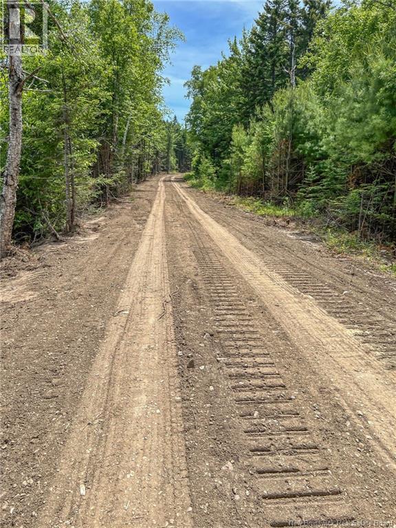 Land Chamcook Lake No 1 Road, Chamcook, New Brunswick  E5B 2Z4 - Photo 7 - NB123802