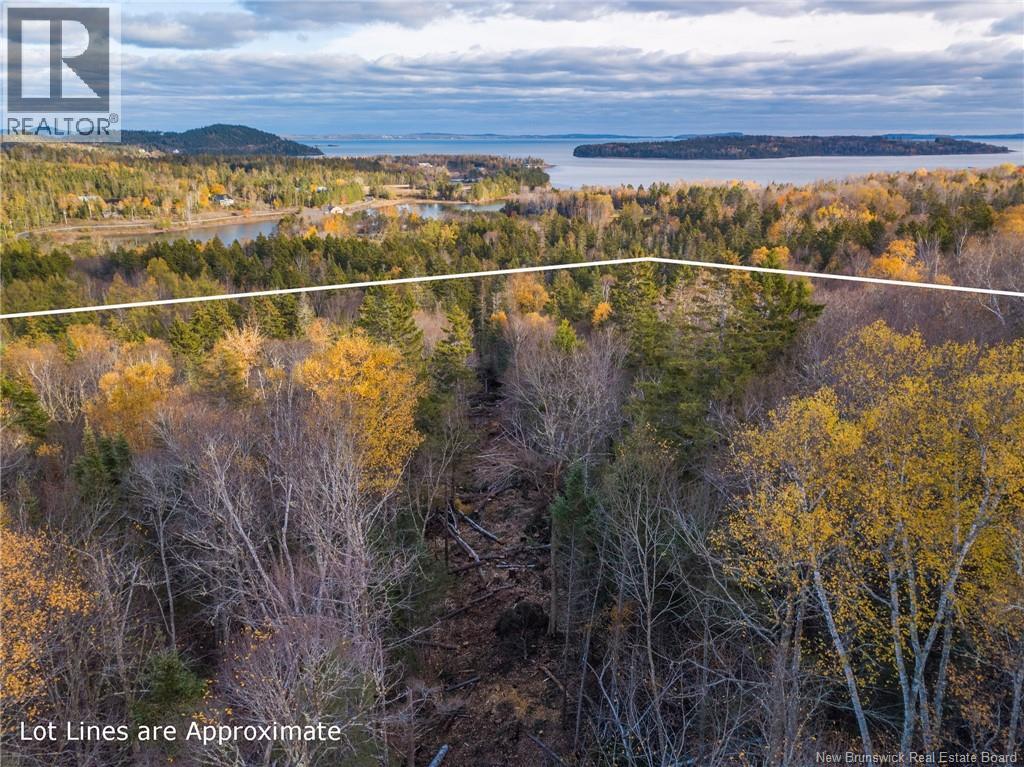 Land Chamcook Lake No 1 Road, Chamcook, New Brunswick  E5B 2Z4 - Photo 13 - NB123802