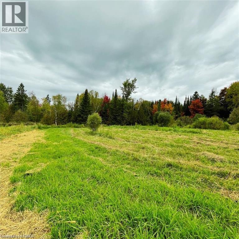 813016 E East Back Line, Grey Highlands, Ontario  N0C 1L0 - Photo 17 - 40789483