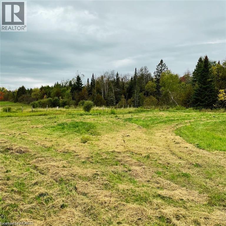 813016 E East Back Line, Grey Highlands, Ontario  N0C 1L0 - Photo 20 - 40789483