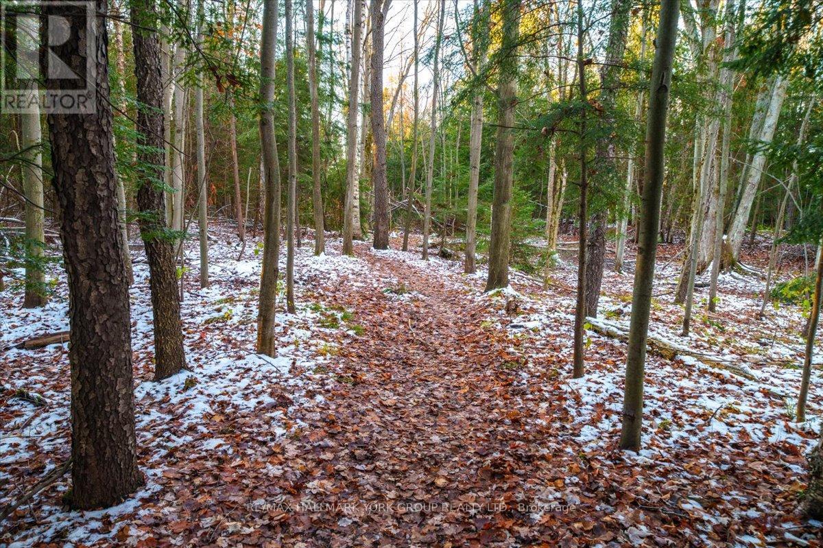 211 - 45 Ferndale Drive S, Barrie, Ontario  L4N 5W7 - Photo 40 - S12561186