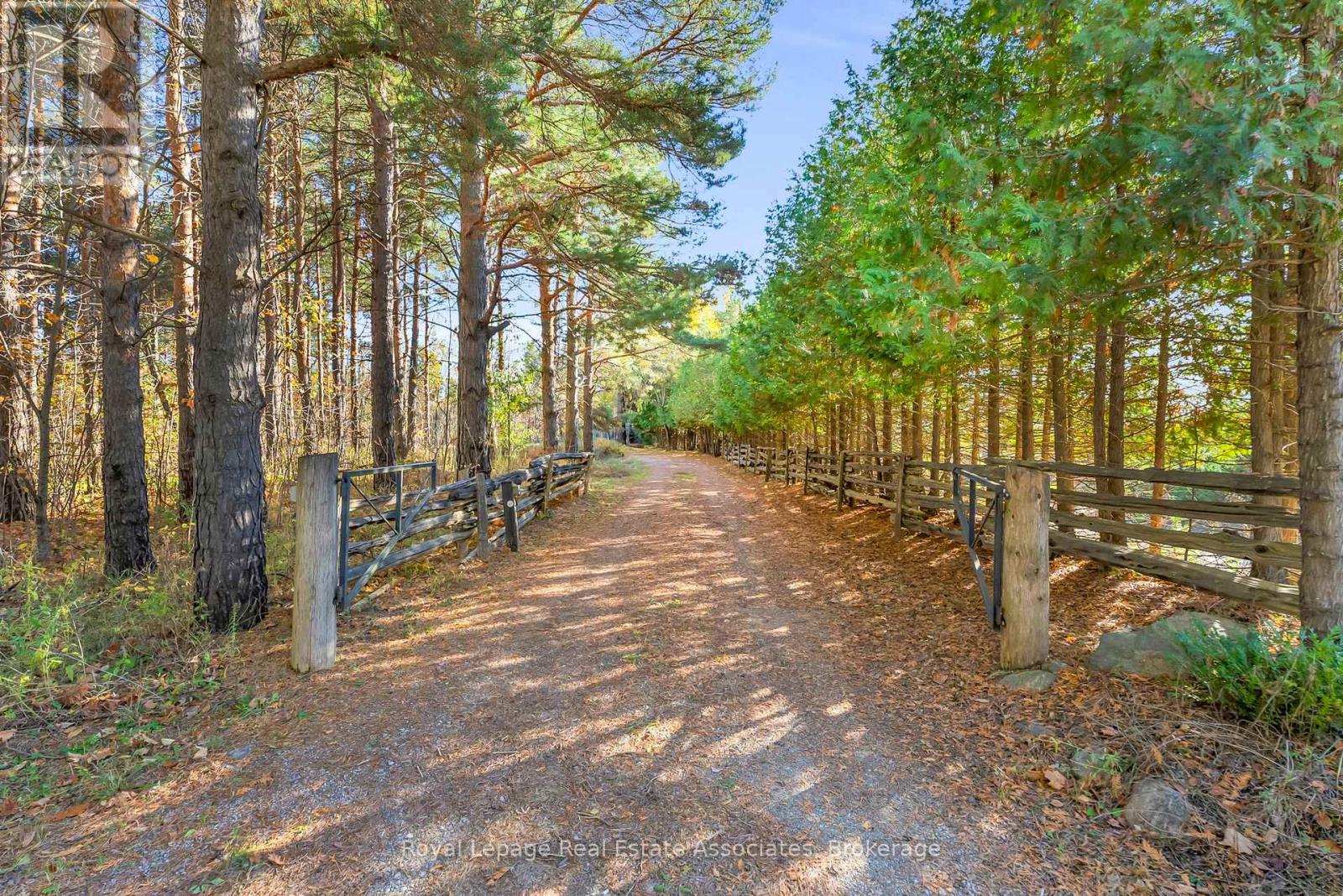 758129 2nd Line E, Mulmur, Ontario  L9V 0G8 - Photo 6 - X12561320