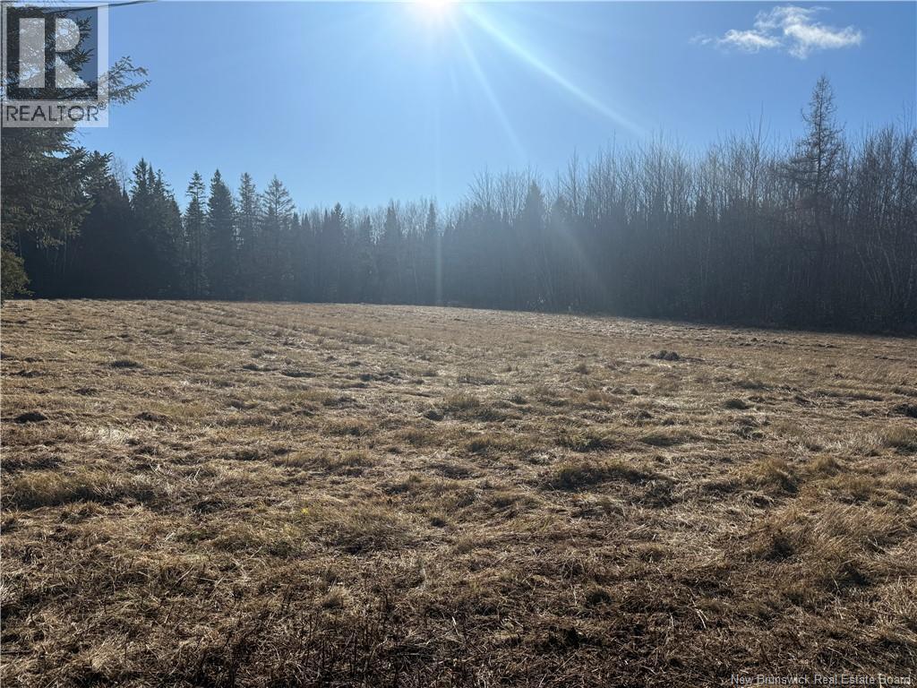 6276 Route 10, Upper Salmon Creek, New Brunswick  E4A 1C5 - Photo 4 - NB130376