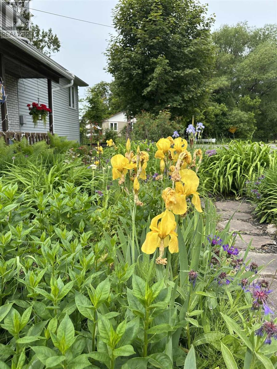 157 East Balfour St, Sault Ste. Marie, Ontario  P6C 1X7 - Photo 40 - SM252940