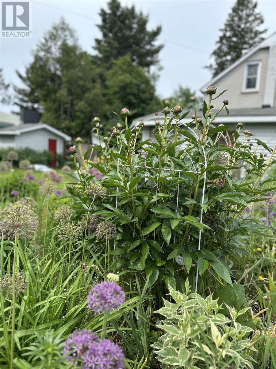 157 East Balfour St, Sault Ste. Marie, Ontario  P6C 1X7 - Photo 42 - SM252940