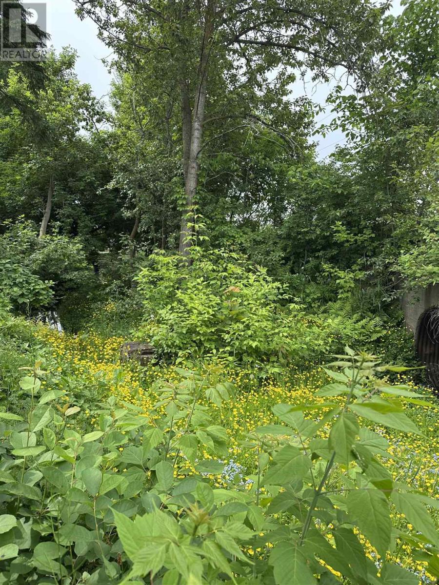 157 East Balfour St, Sault Ste. Marie, Ontario  P6C 1X7 - Photo 44 - SM252940