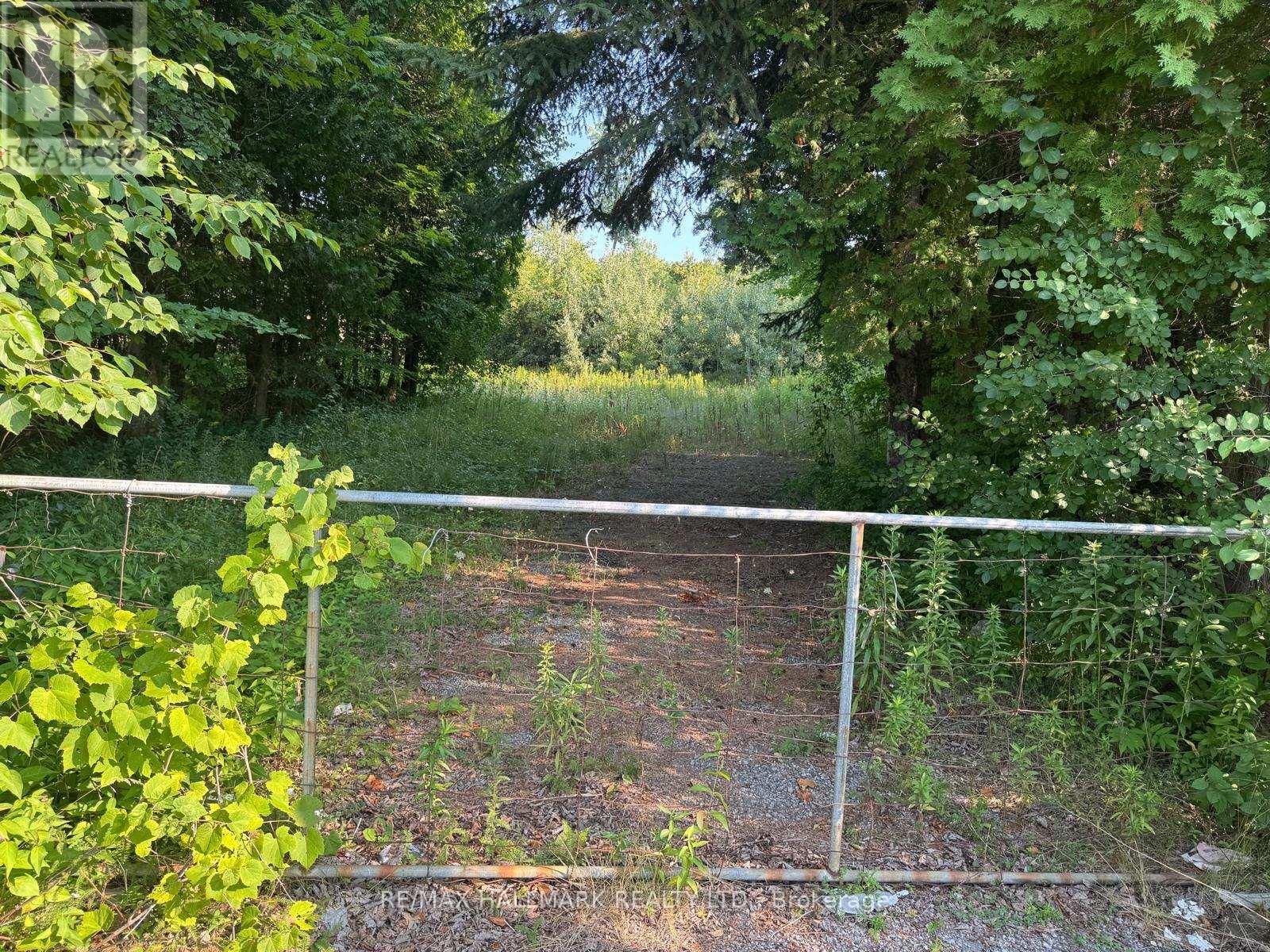 780 Taunton Road E, Whitby, Ontario  L1R 3L6 - Photo 2 - E12355257