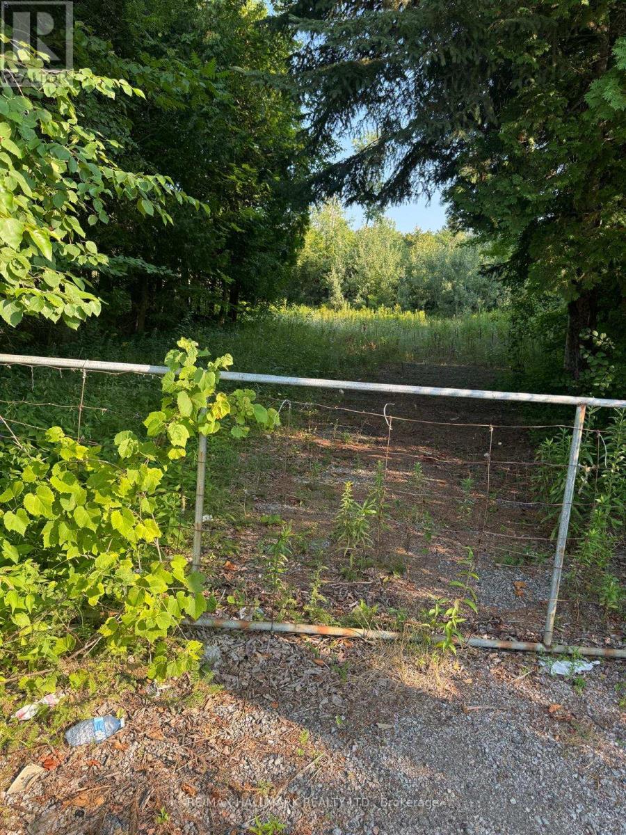 780 Taunton Road E, Whitby, Ontario  L1R 3L6 - Photo 9 - E12355257