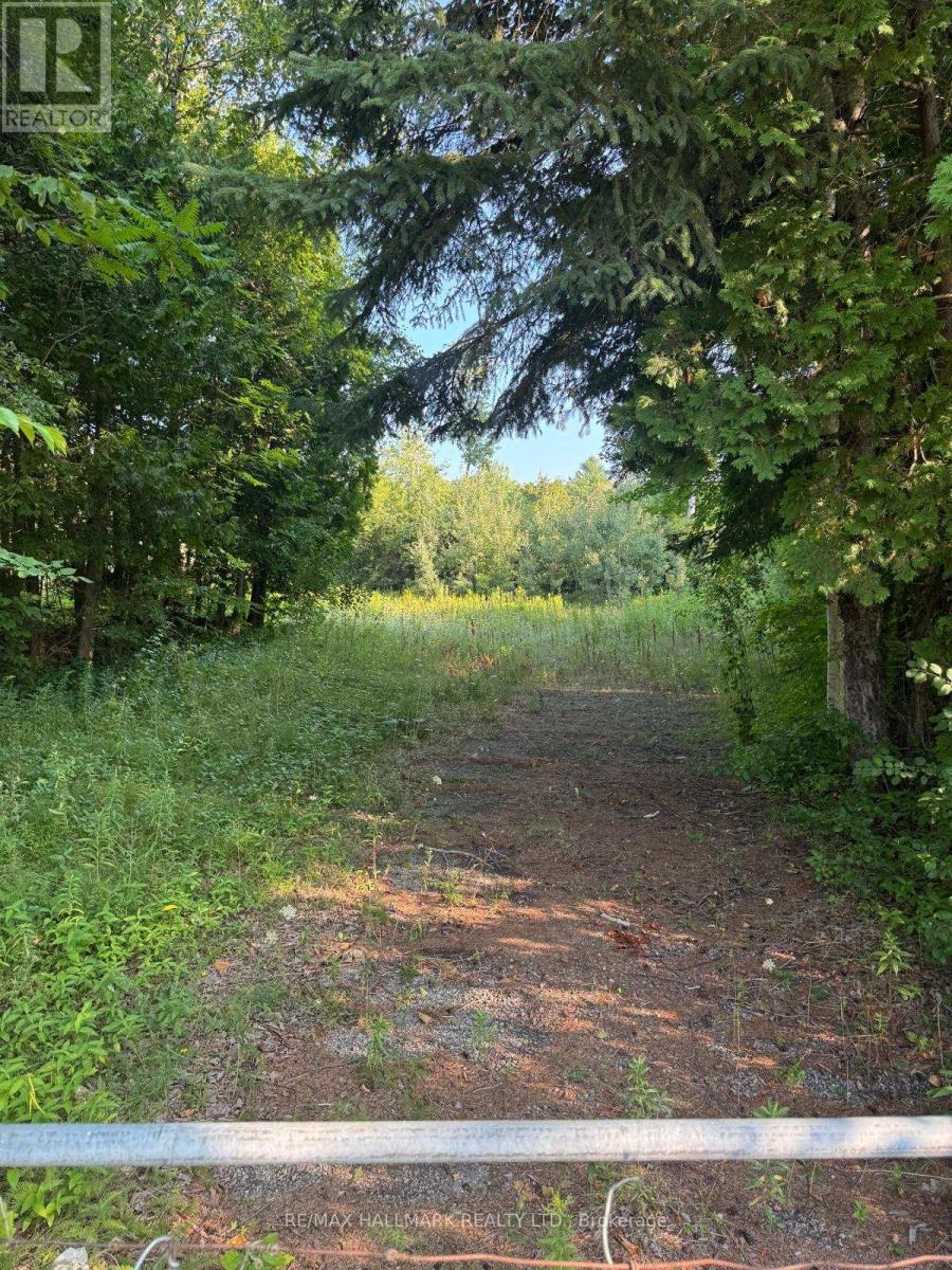 780 Taunton Road E, Whitby, Ontario  L1R 3L6 - Photo 8 - E12355257